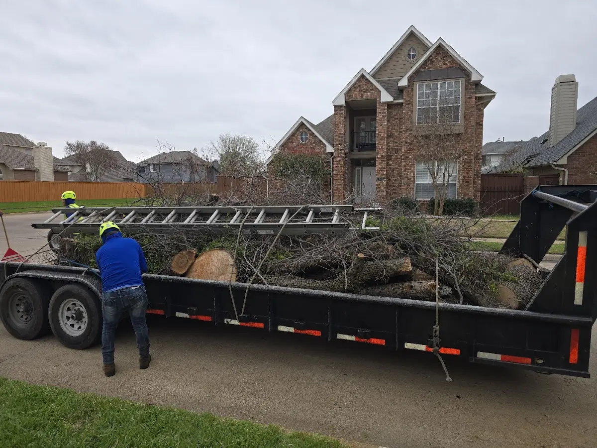Expert Tree Removal with proper safety equipment in Guilford